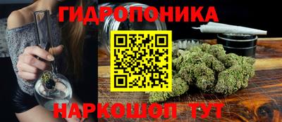 индика Кунгур